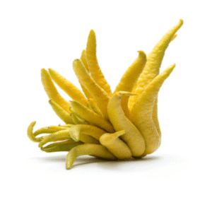 Exotic-King-Budina-ruka-Buddha-hand
