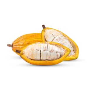 Exotic-King-Cocoa