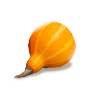 Exotic-King-Decorative-gourd-small