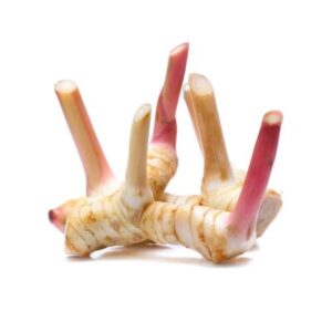 Exotic-King-Galangal