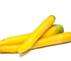 Exotic-King-Mrkva-carrot