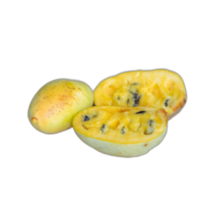 Exotic-King-Pawpaw