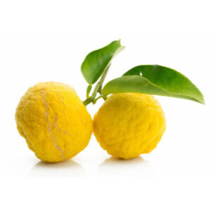Exotic-King-Yuzu