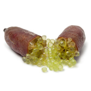 Exotic-King-Finger-limeta