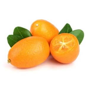 Exotic-King-Kumquat