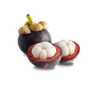 Exotic-King-Mangosteen