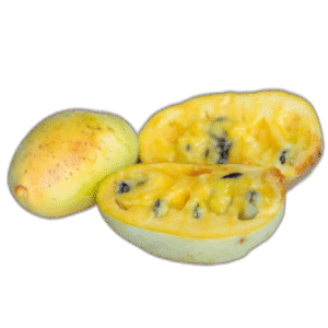 Exotic-King-Pawpaw