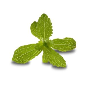 Exotic-King-Stevia