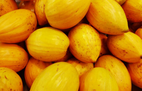 Papaya