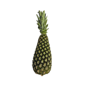 Exotic-King-Divlji-ananas