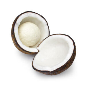 Exotic-King-Tombong-coconut